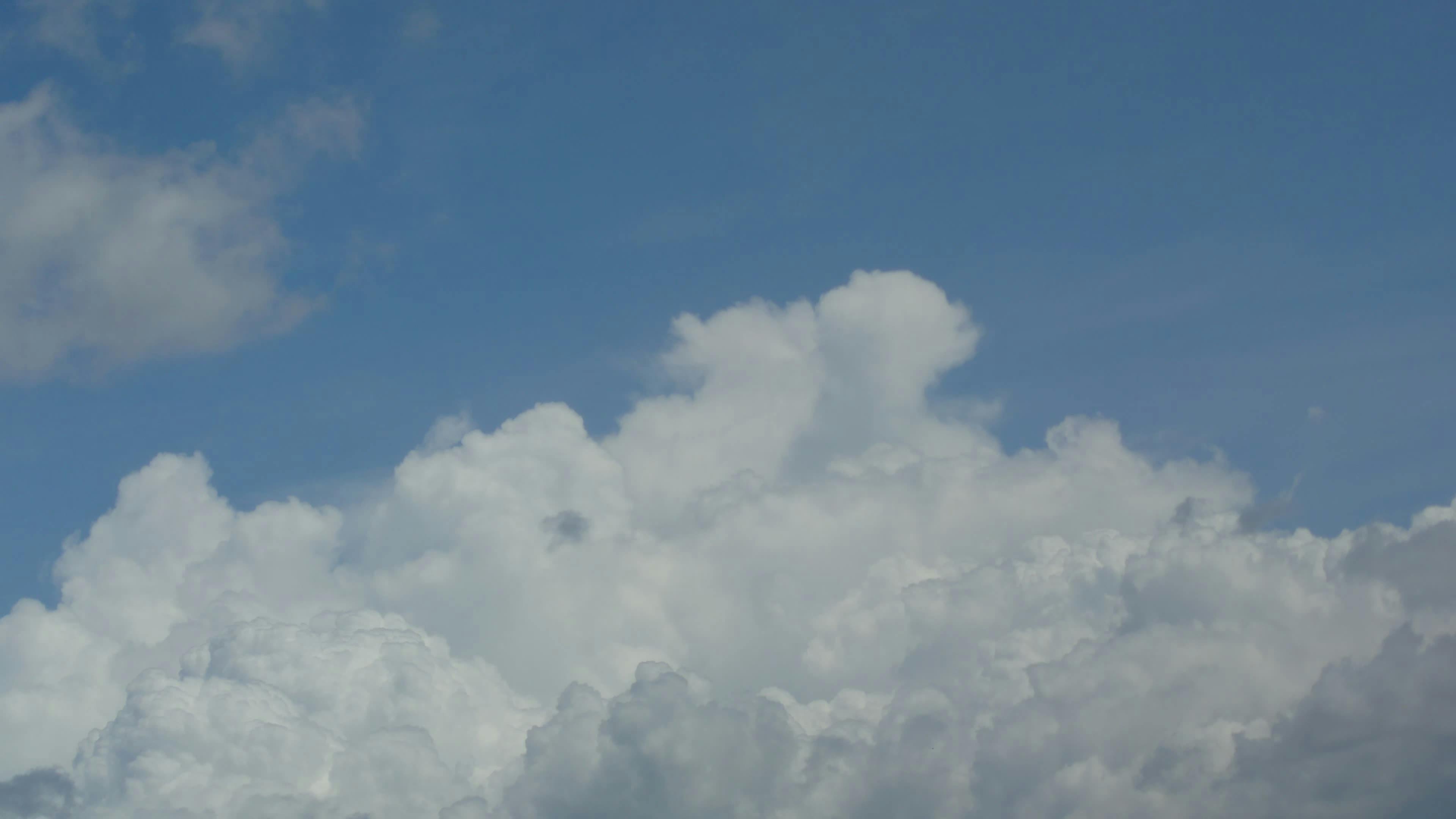 Video by Larkkid Dung