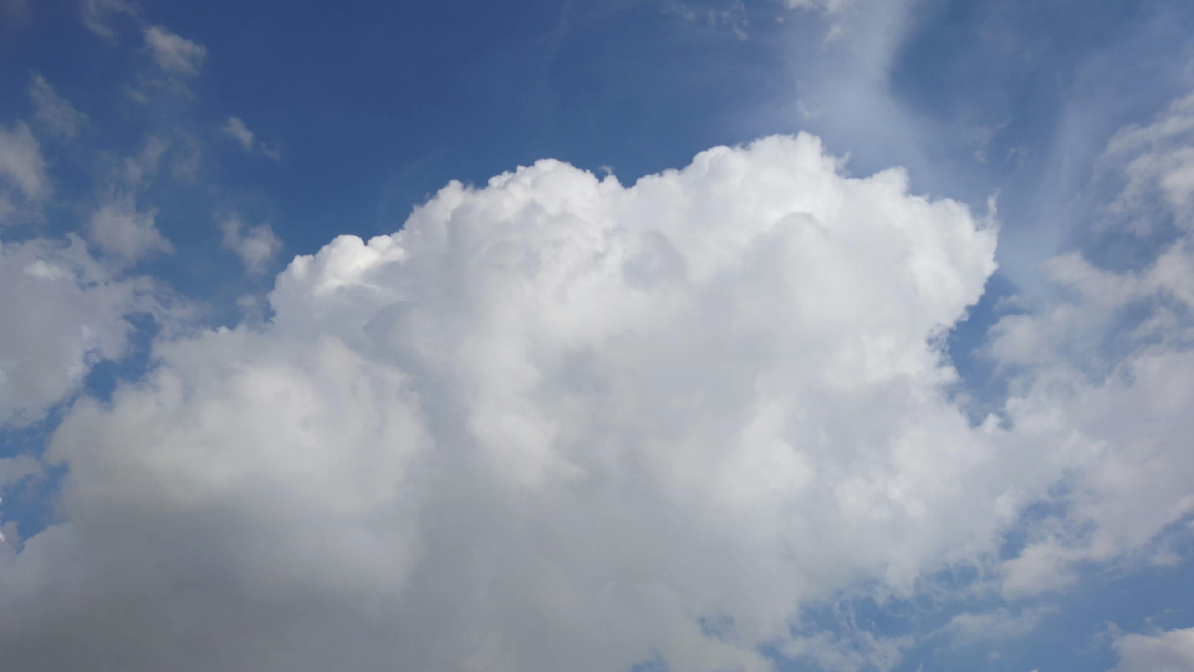 Video by Larkkid Dung