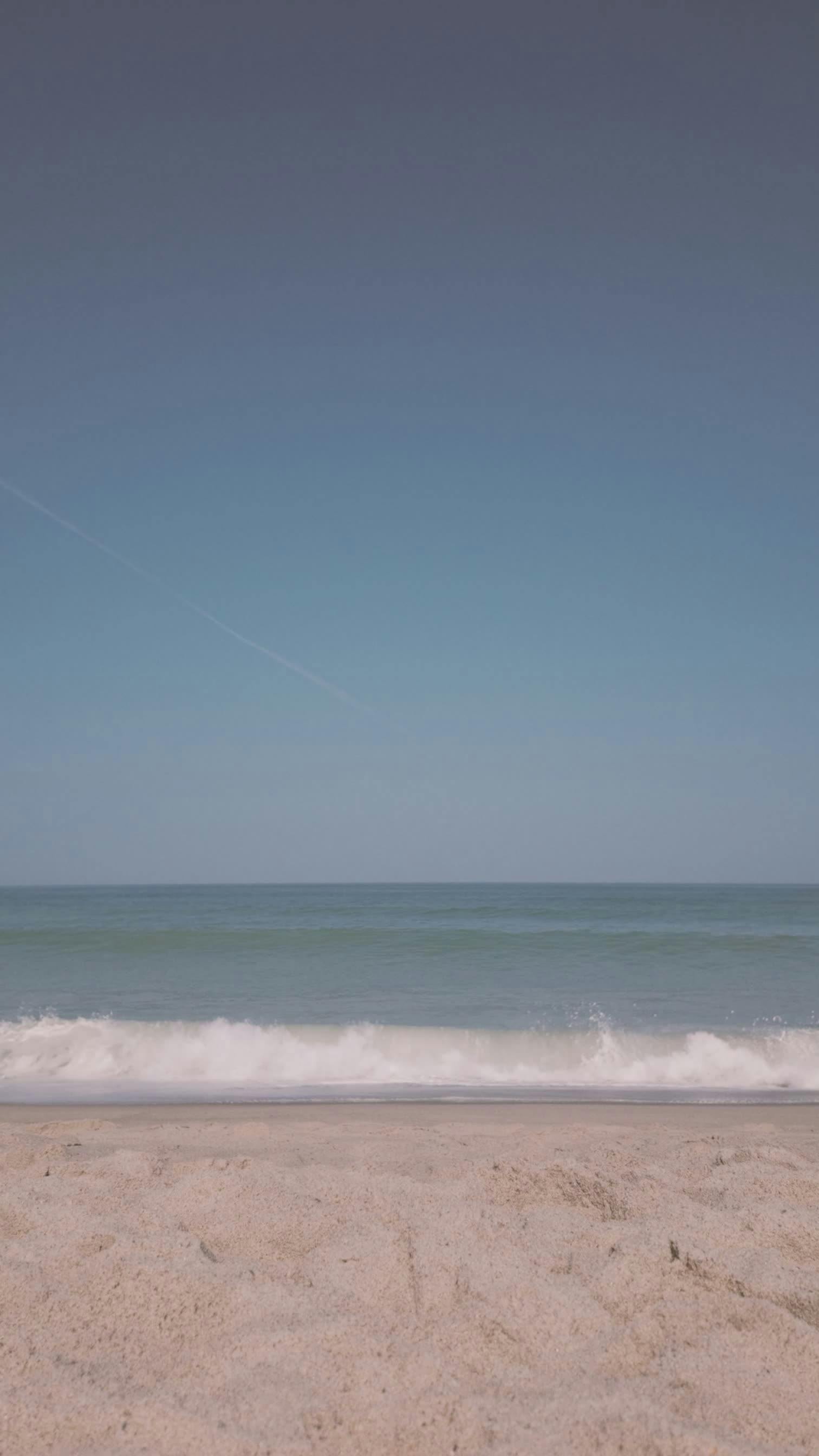 Video by Bastian Riccardi