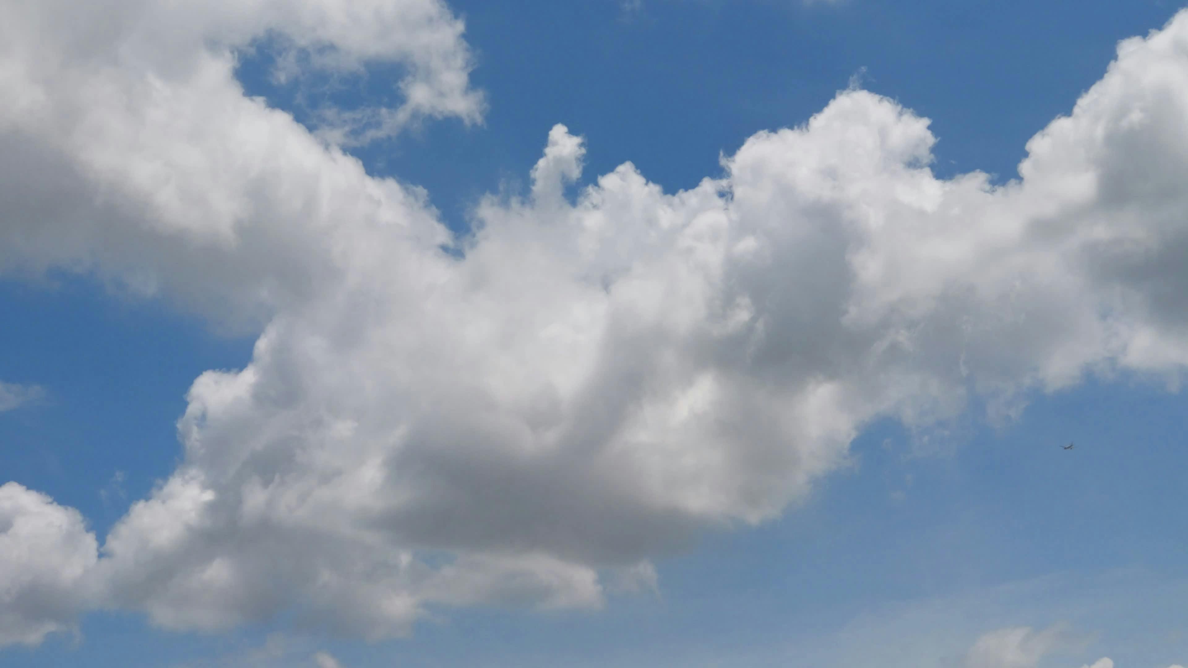 Video by Larkkid Dung