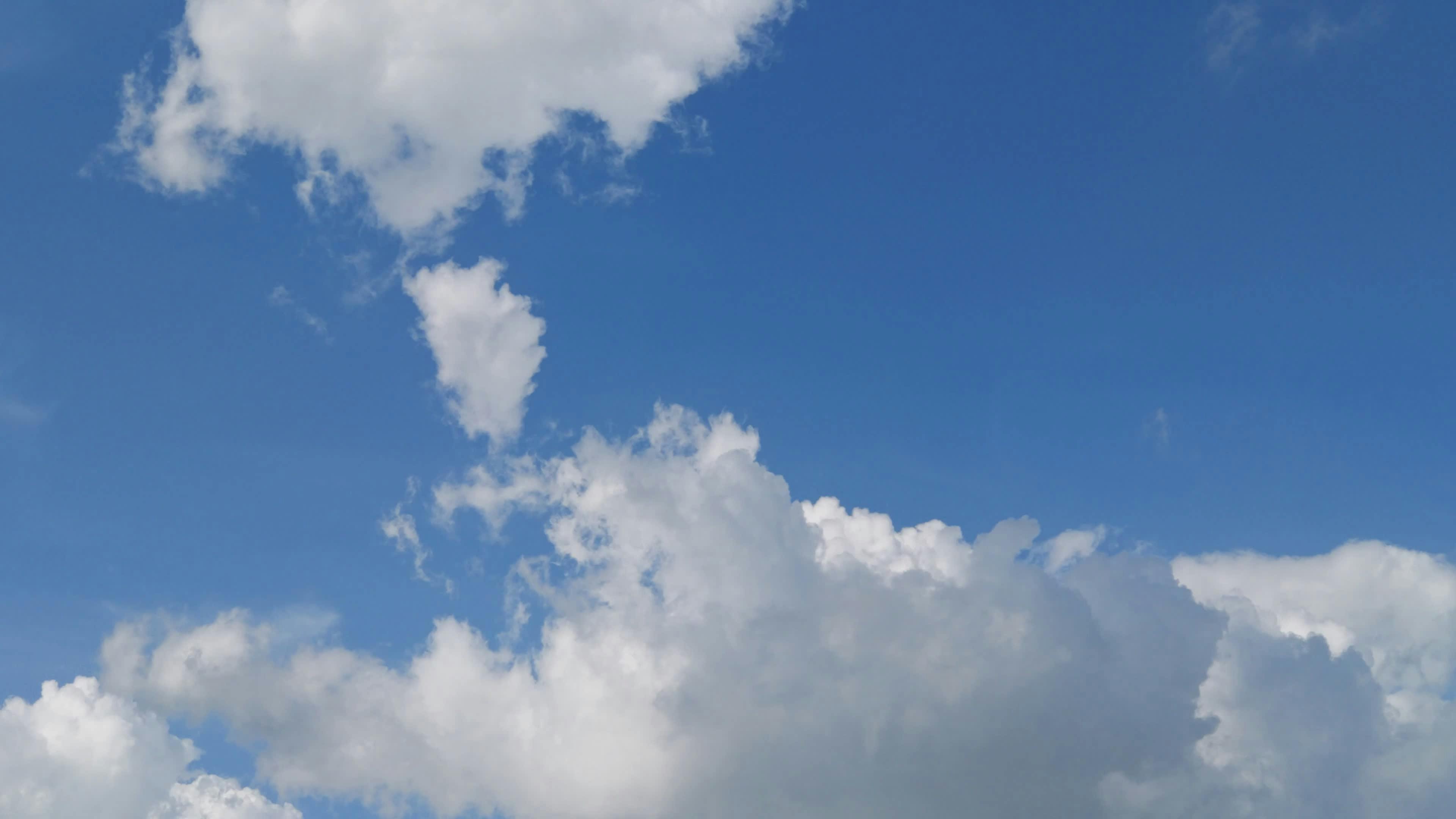 Video by Larkkid Dung