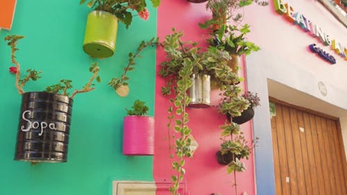 갤러리 벽 밖에 매달려있는 식물을위한 화분으로 재활용 된 캔
