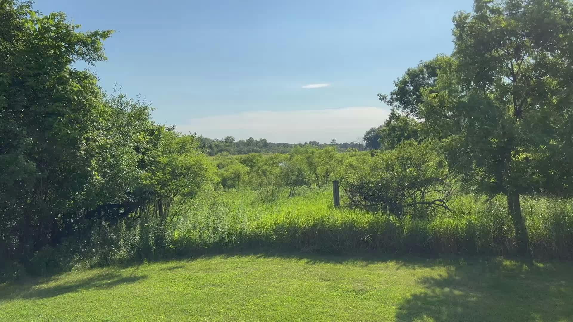 Video by Ben Osborne