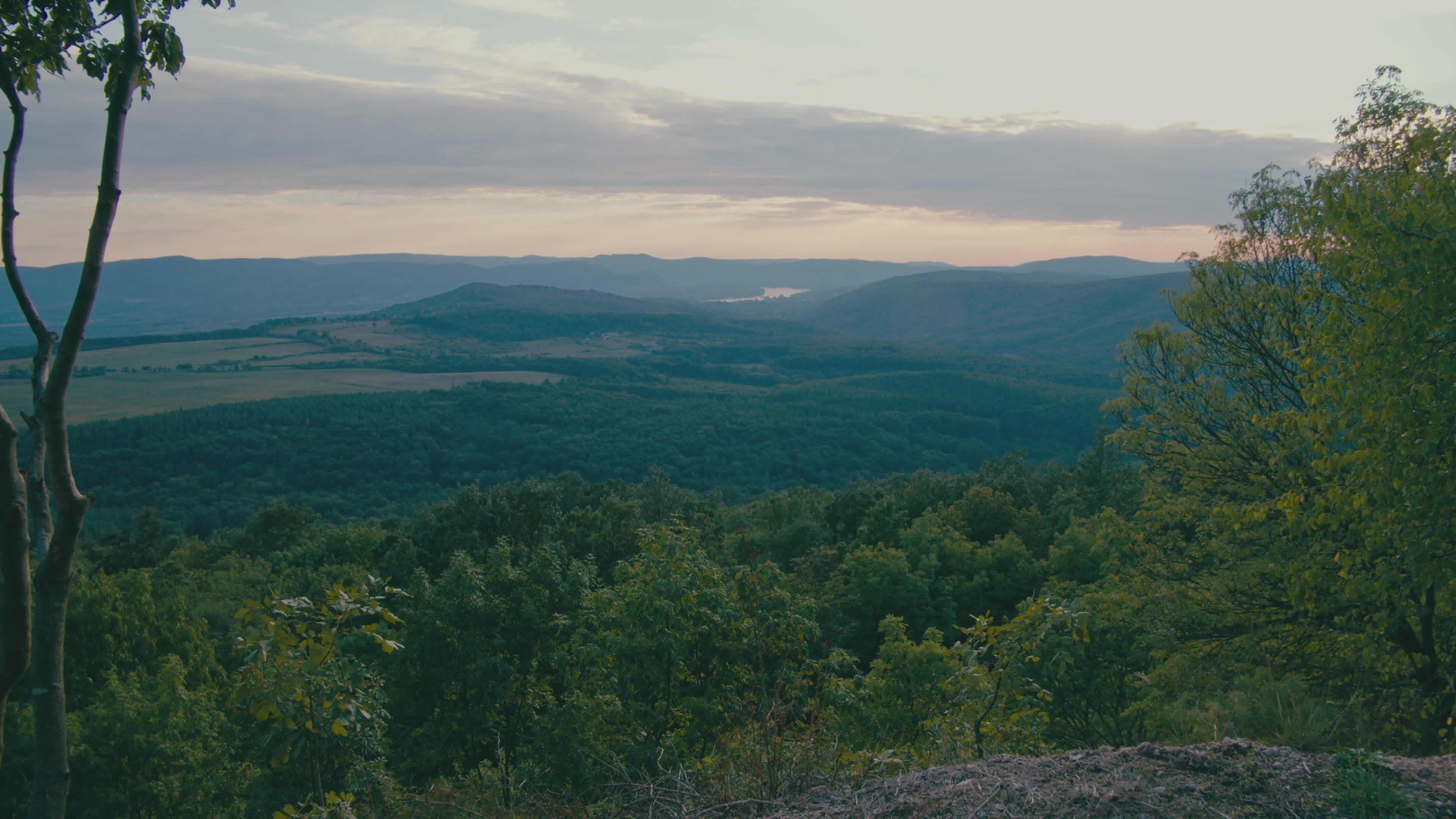 Video by Attila Pergel
