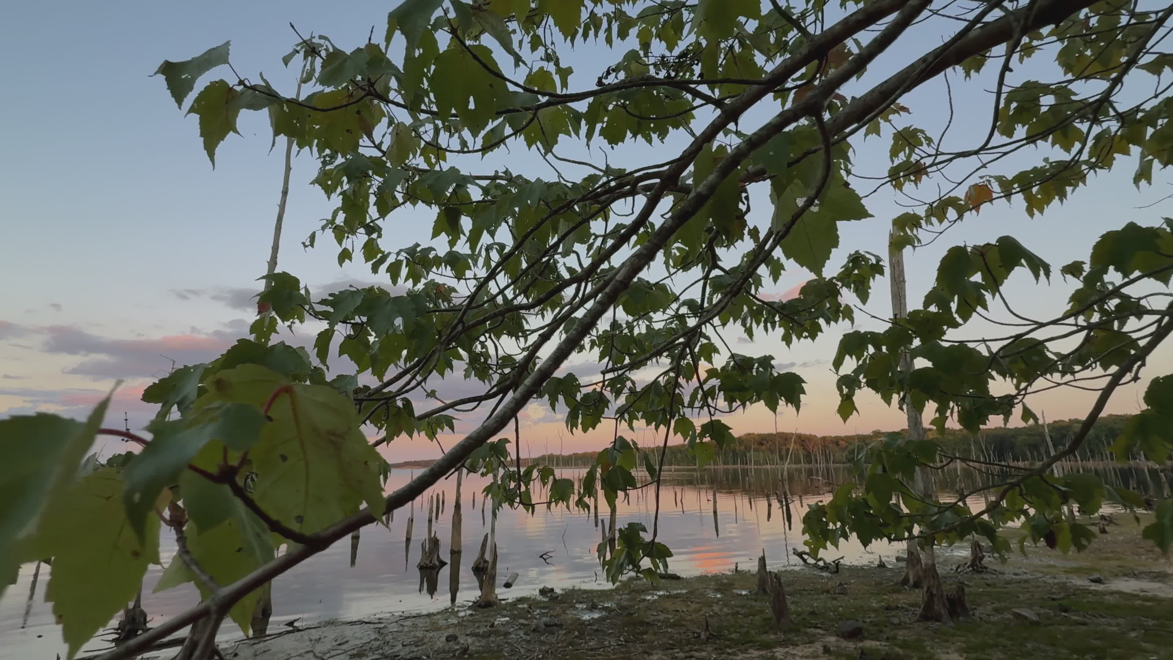 serene lake sunset with lush greenery 33746474