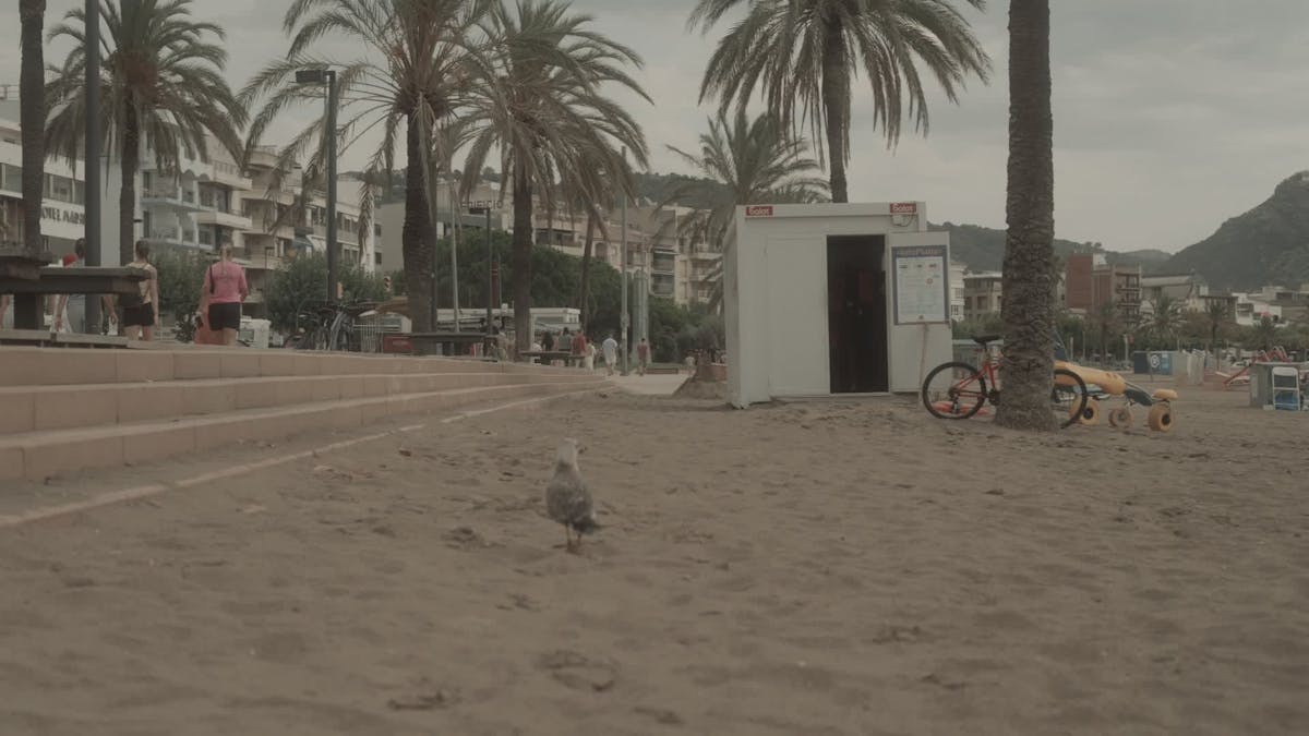 Ebony+Riding+Bbc+Slow Videos, Download The BEST Free 4k Stock Video