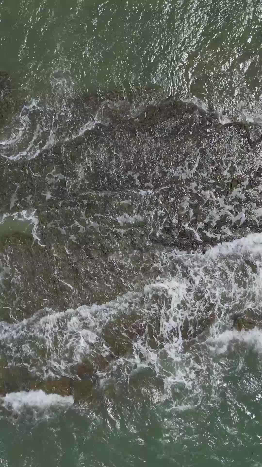 Video by Malcoln Oliveira