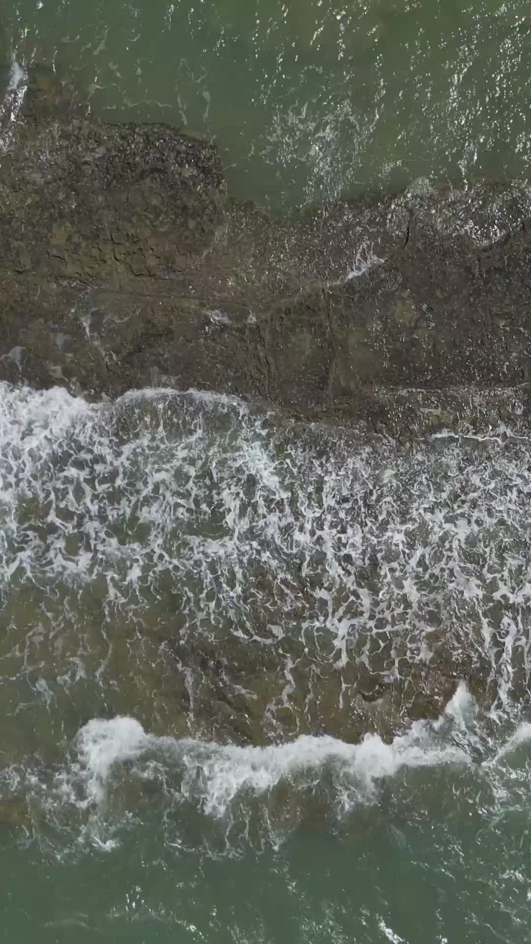 Video by Malcoln Oliveira