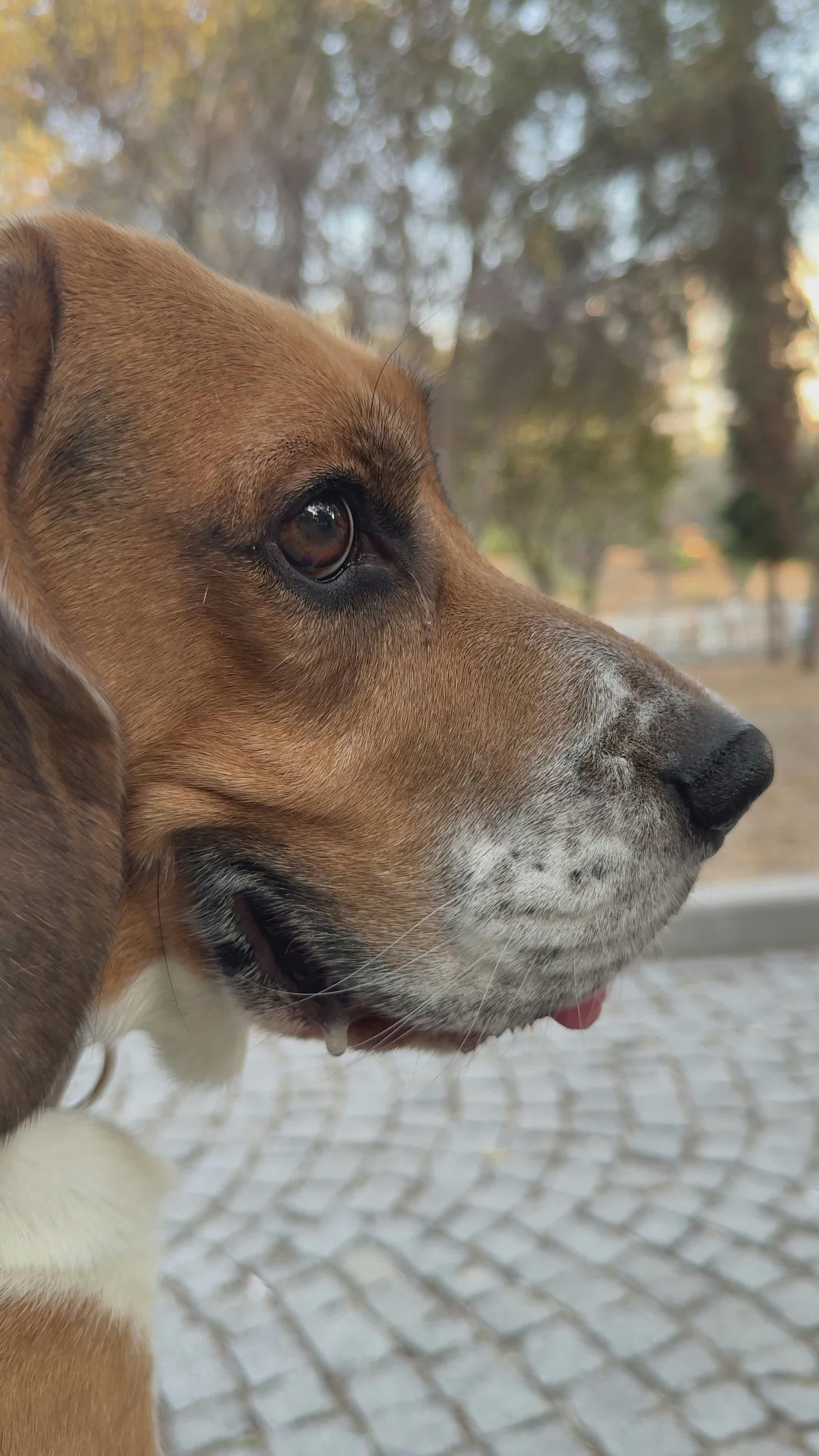 Pexels Video 33772963
