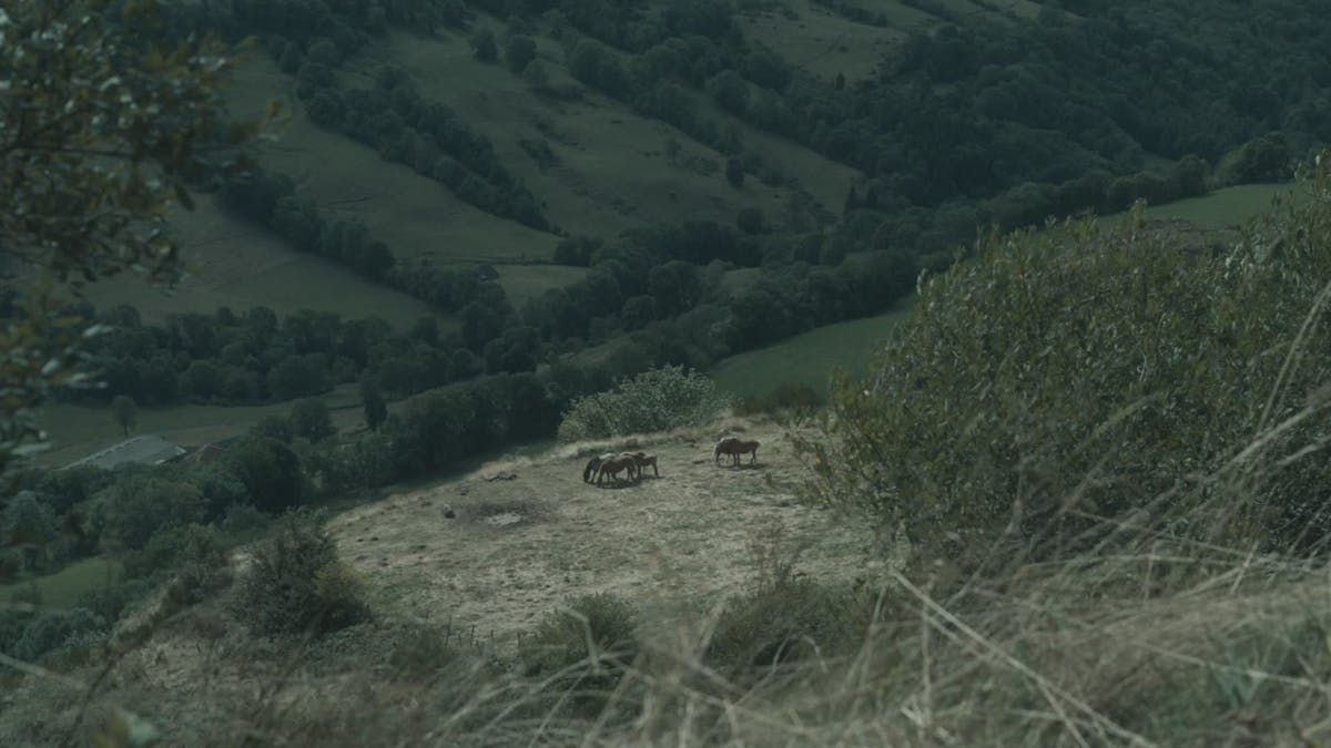 Ebony+Riding+Bbc+Slow Videos, Download The BEST Free 4k Stock Video