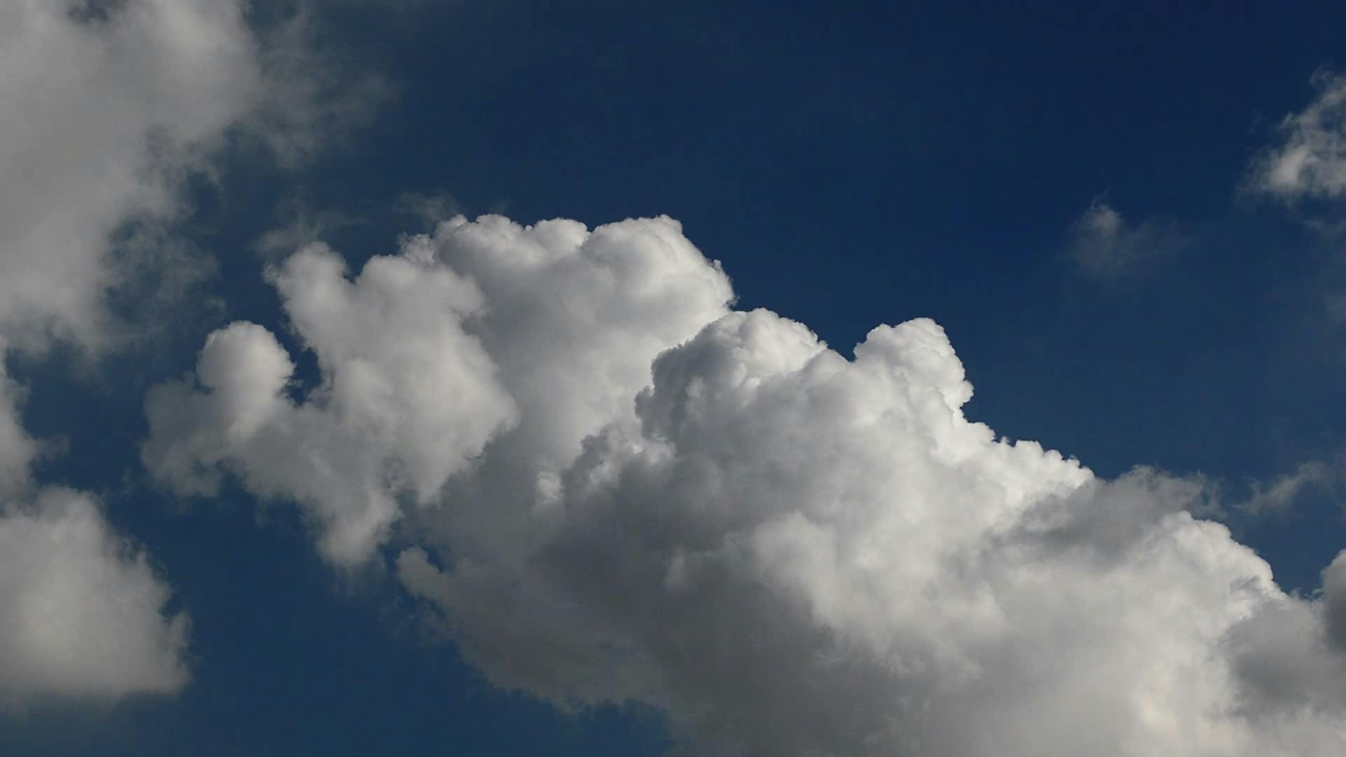 Video by Larkkid Dung