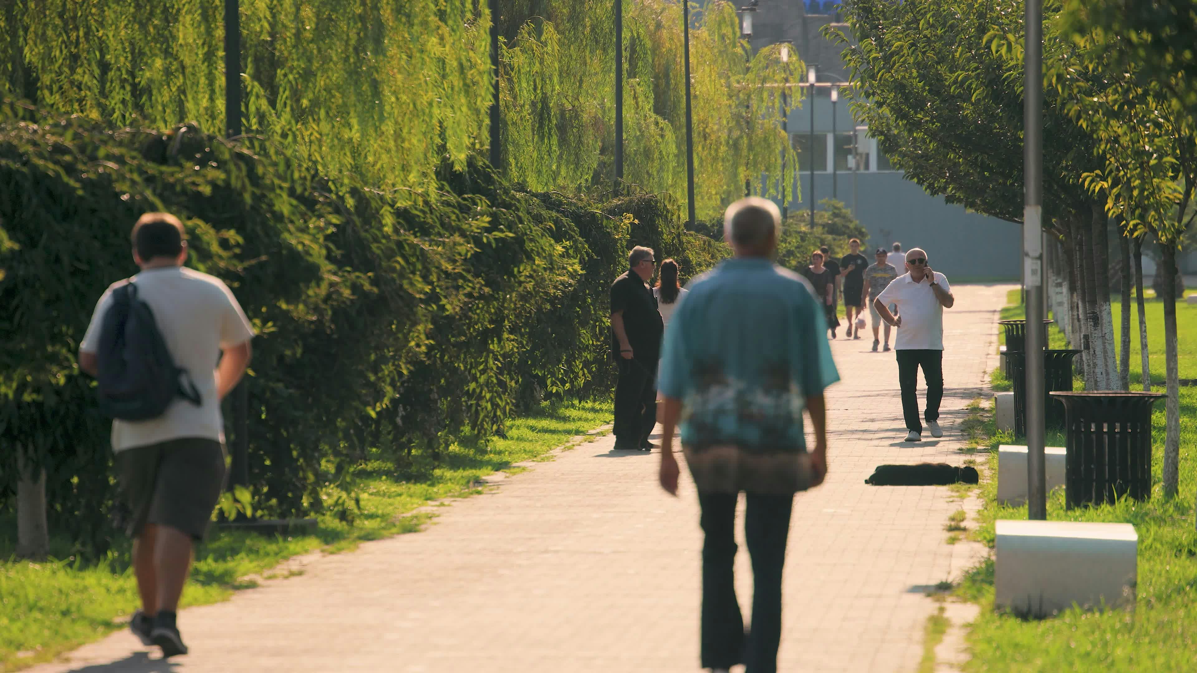 people walking in sunny urban park pathway 33802410