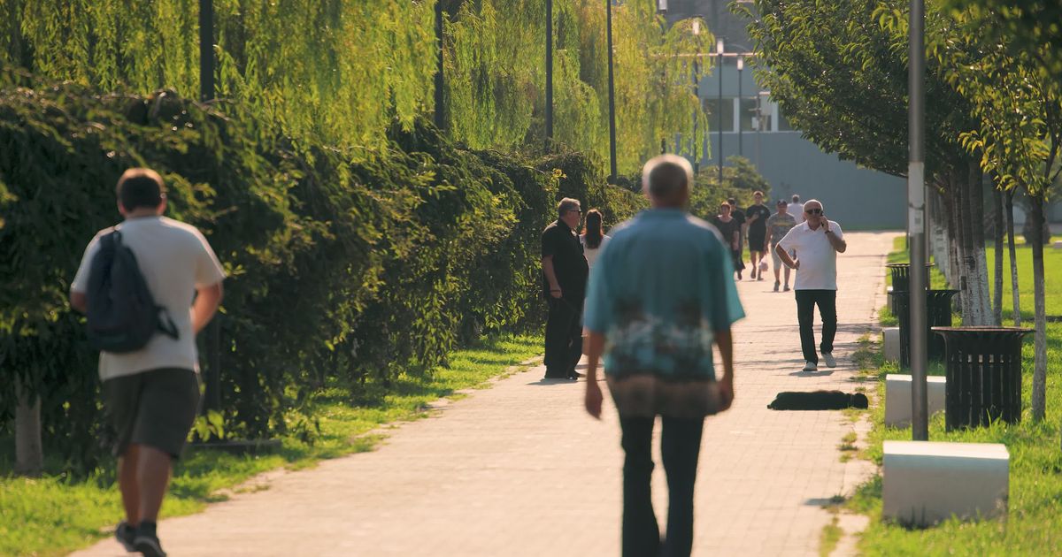 people walking in sunny urban park pathway 33802410