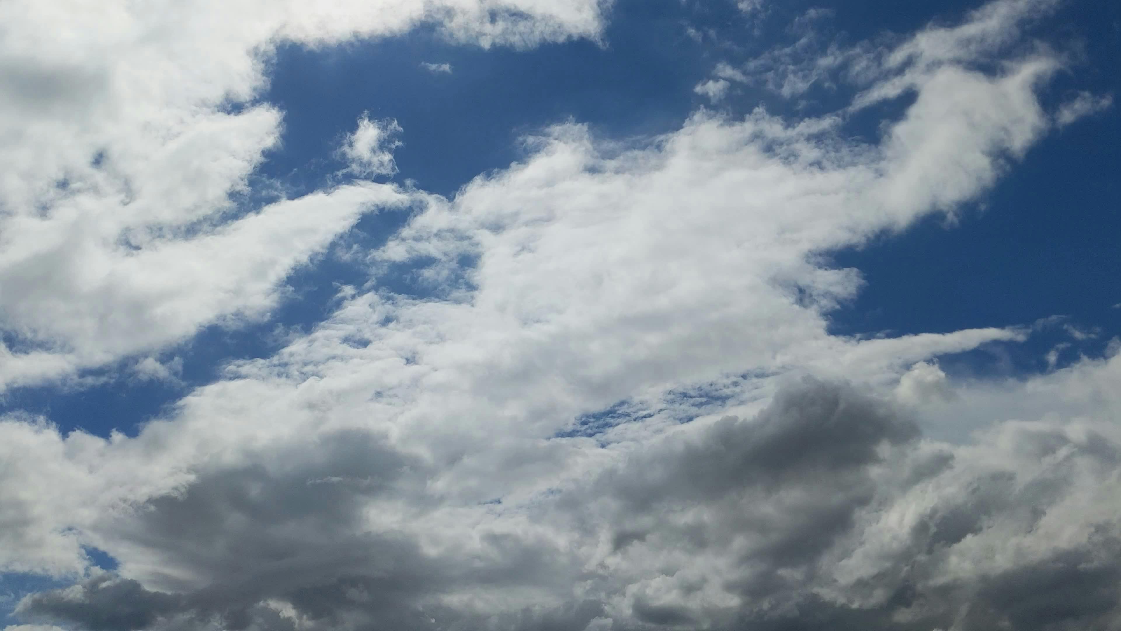 Video by Larkkid Dung