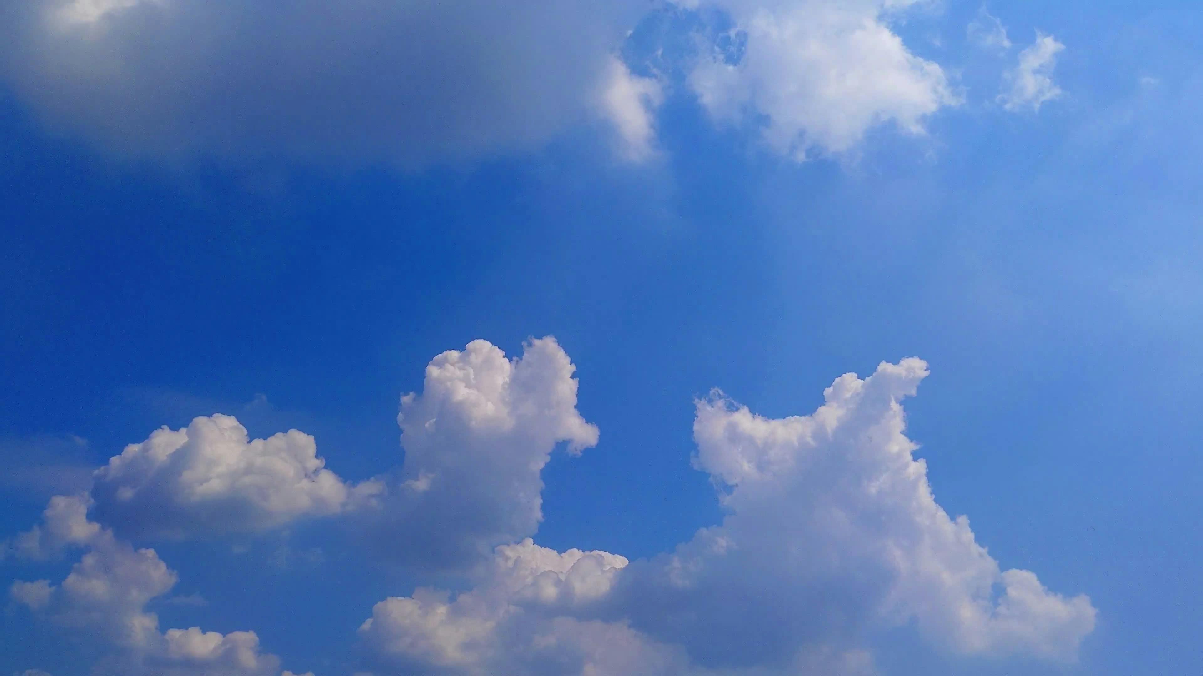 Video by Larkkid Dung