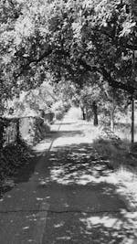 Big+Black+Ass+Bent+Over Videos, Download The BEST Free 4k Stock Video