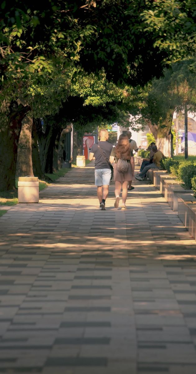 people strolling in a sunlit park pathway 33814242 — free pexels stock footage