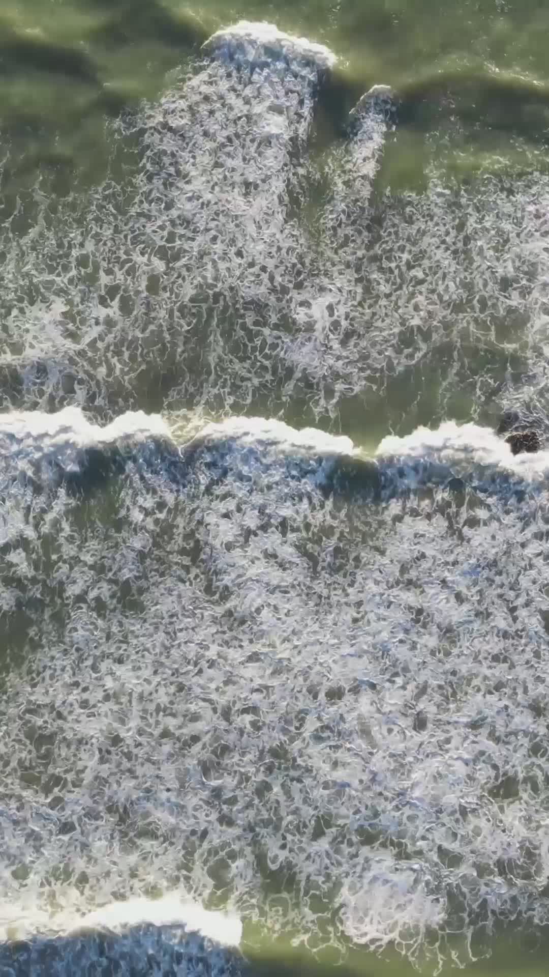 Video by Malcoln Oliveira