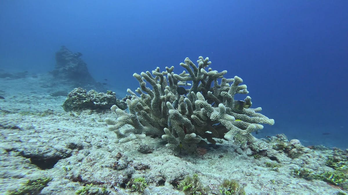 Step+Mom+And+Son+Sharing+Bed+Brazzers Videos, Download The BEST Free 4k