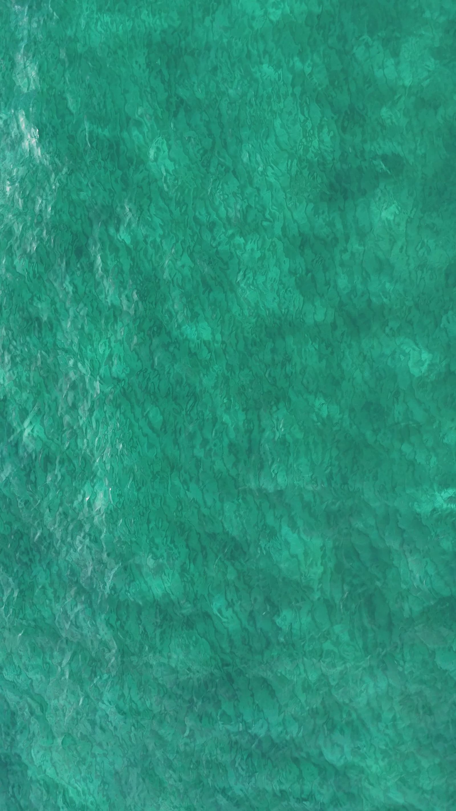 Beach+Exhibitionist Videos, Download The BEST Free 4k Stock Video