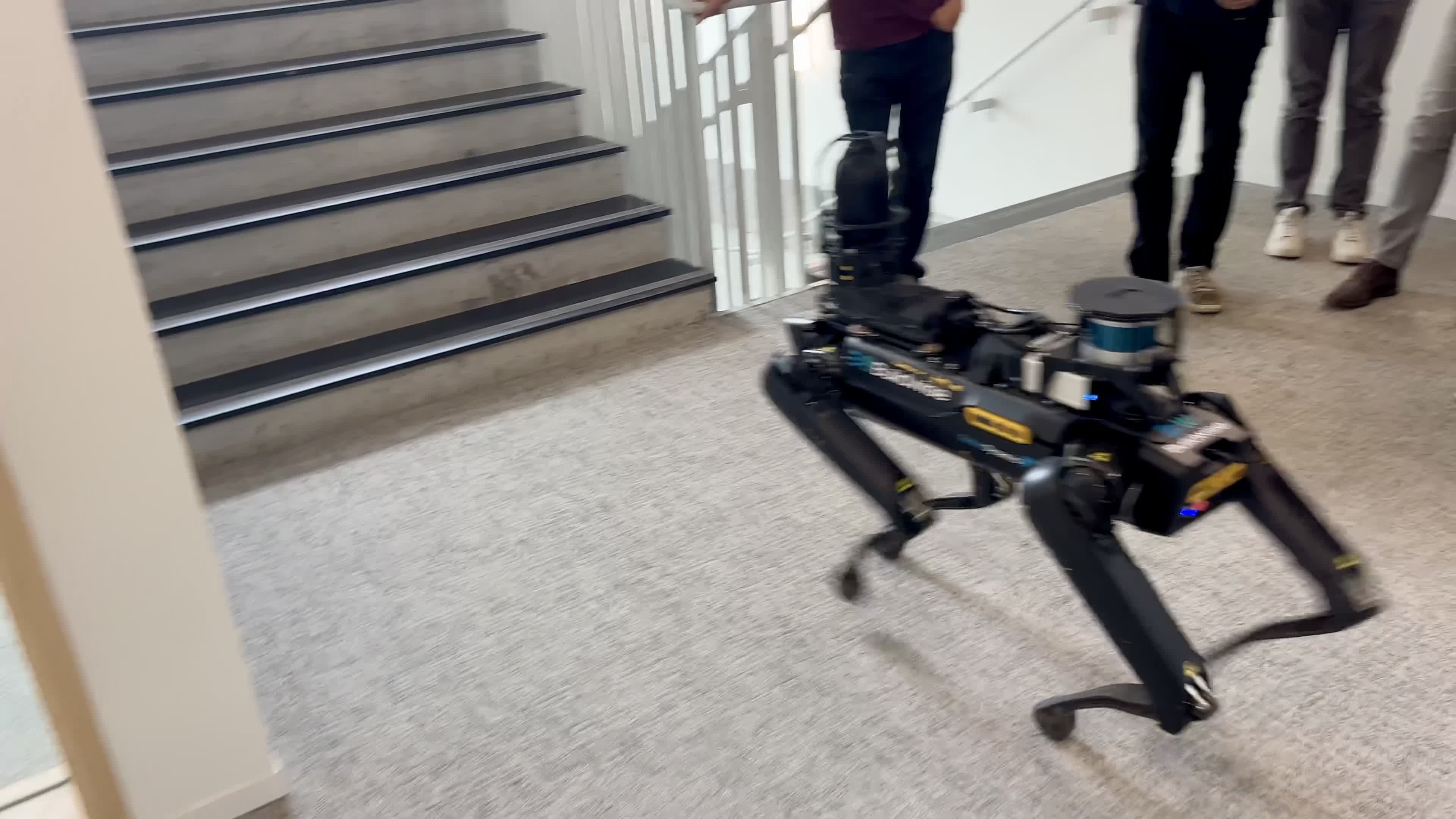 Robot Dog Navigating Stairs in Office Building Free Stock Video Footage ...