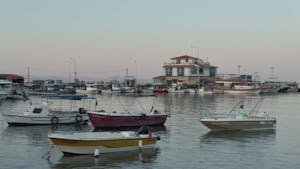 Xxxxx+Video+Full+Hd+In+Hindi Videos, Download The BEST Free 4k Stock