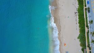 Bouncing+Tits+On+The+Beach Videos, Download The BEST Free 4k Stock