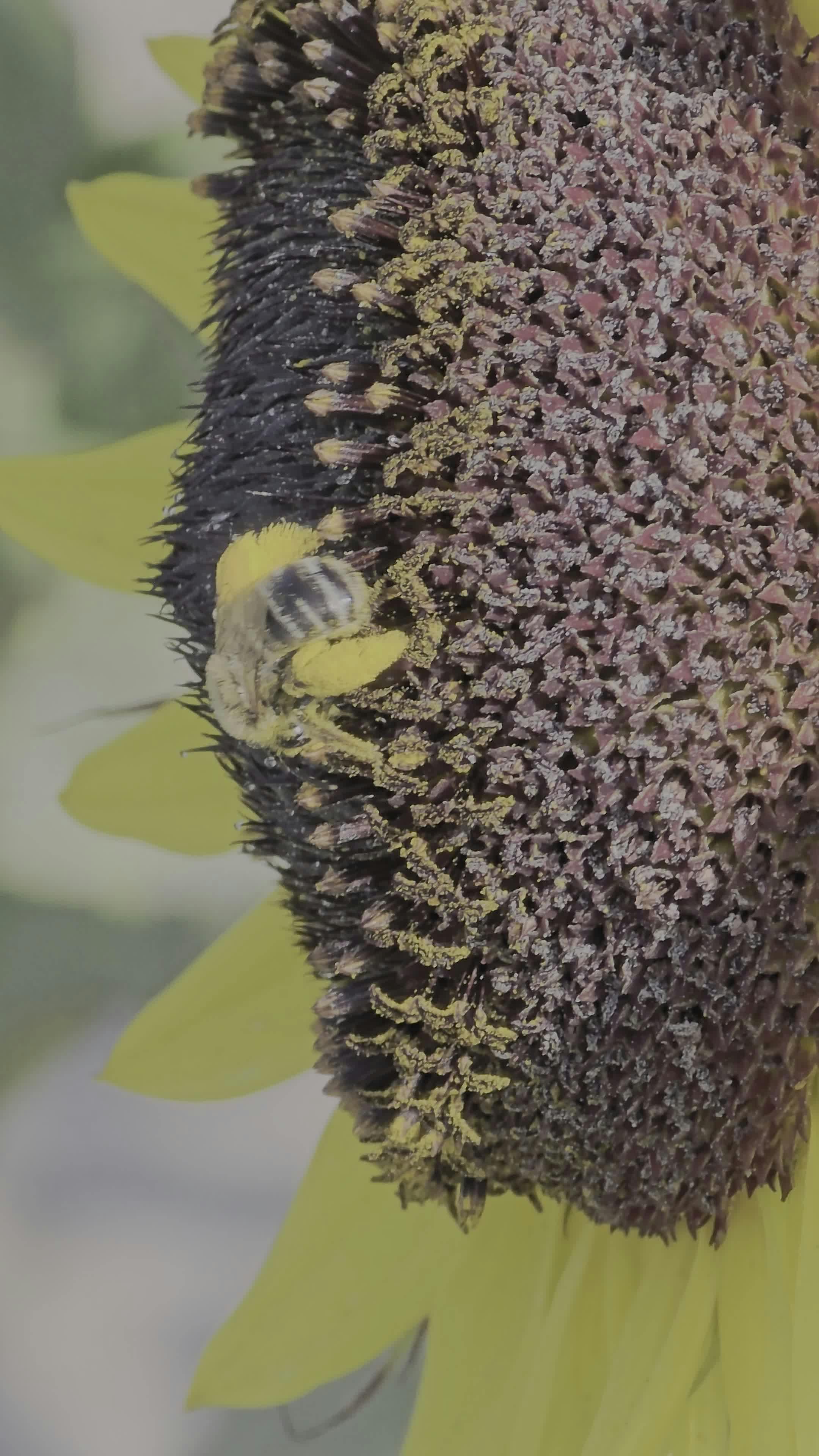 Up+Close+Fingering Videos, Download The BEST Free 4k Stock Video