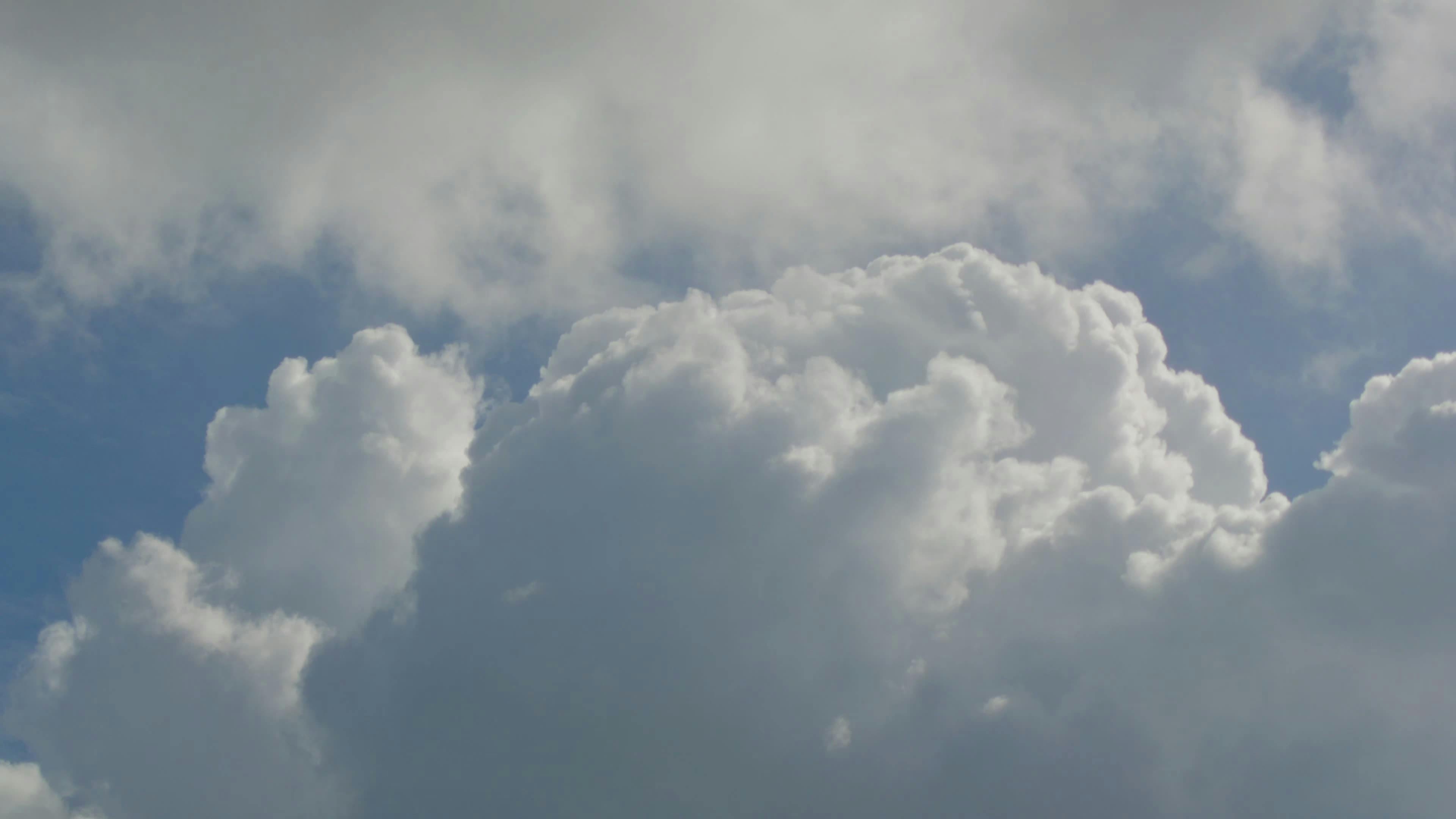 Video by Larkkid Dung