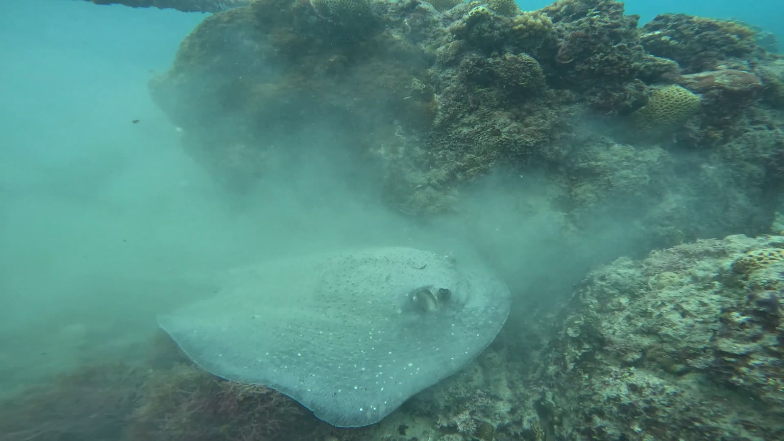 Boy+And+Girl+Kissing+Naked+In+Bed Videos, Download The BEST Free 4k