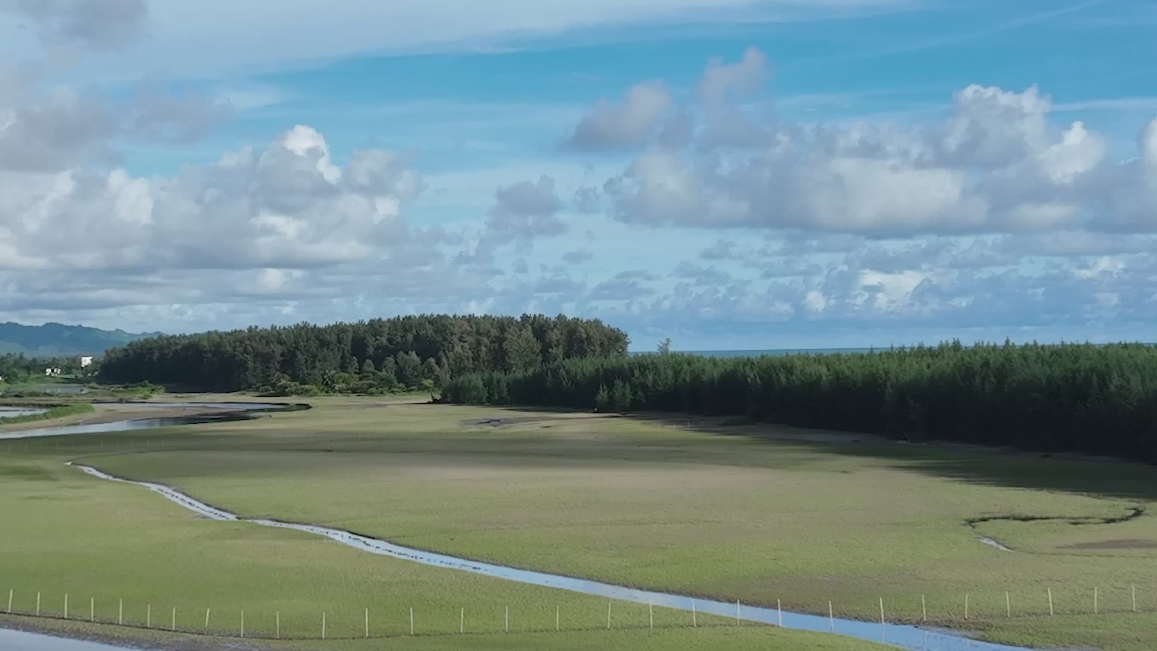 Scenic Aerial View of Lush Coastal Landscape Free Stock Video Footage ...