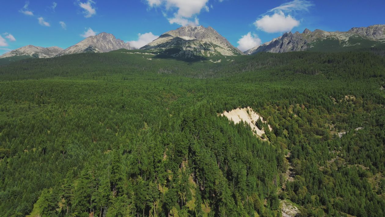 Aerial View of Lush Forest and Majestic Mountains Free Stock Video ...
