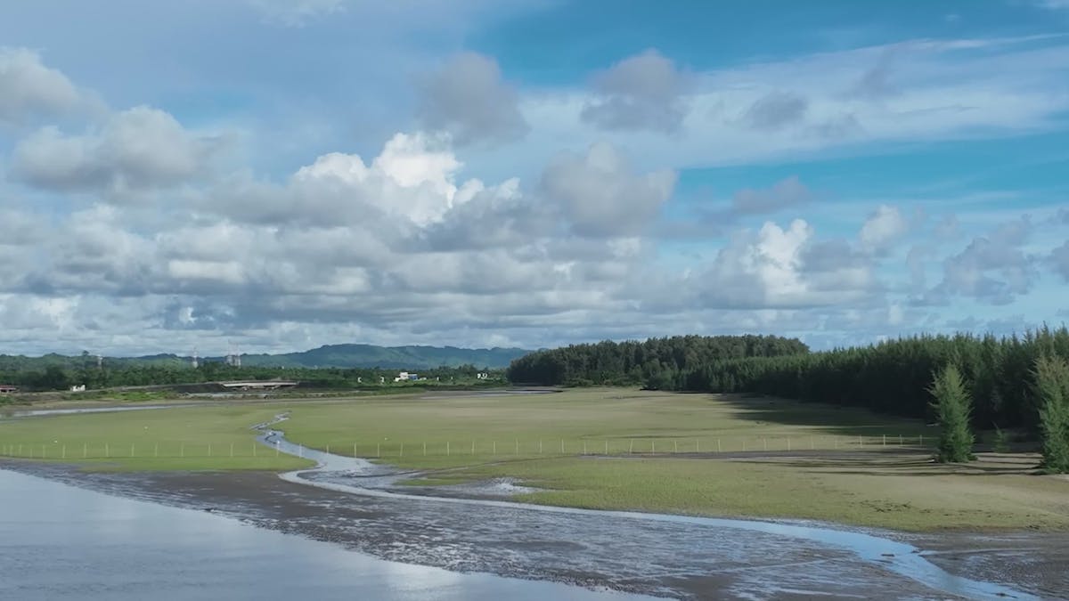 Blow+Job+On+Beach Videos, Download The BEST Free 4k Stock Video Footage