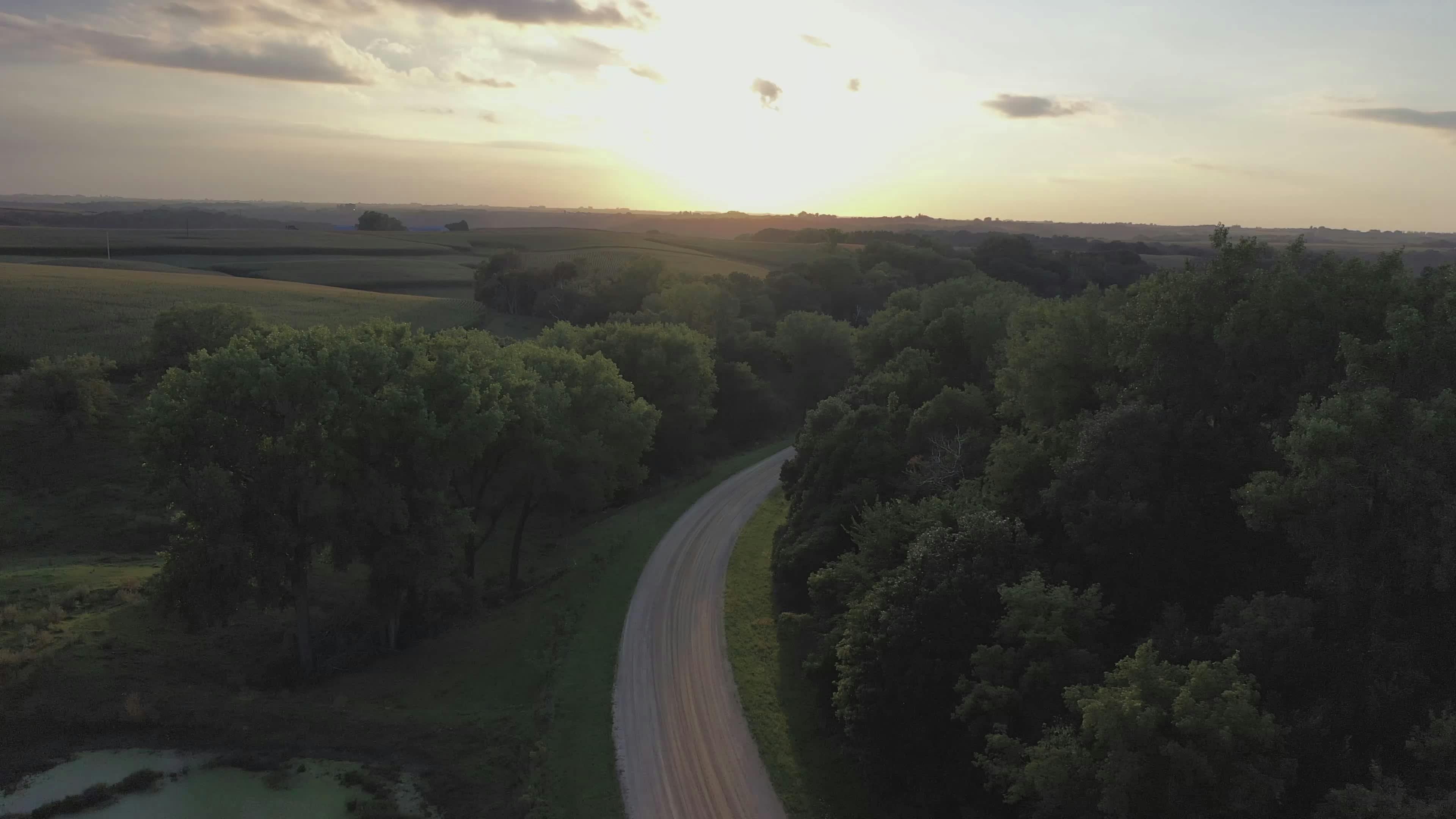 Video by Tom Fisk