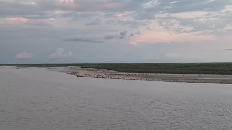 Desi Bengali Bf Videos Download The BEST Free 4k Stock Video Footage