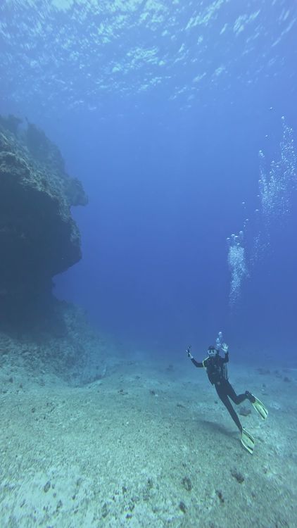 Diver Exploring Underwater Seascape Free Stock Video Footage, Royalty ...