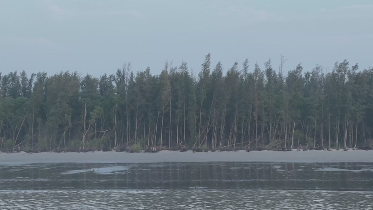 Beach+Exhibitionist Videos, Download The BEST Free 4k Stock Video
