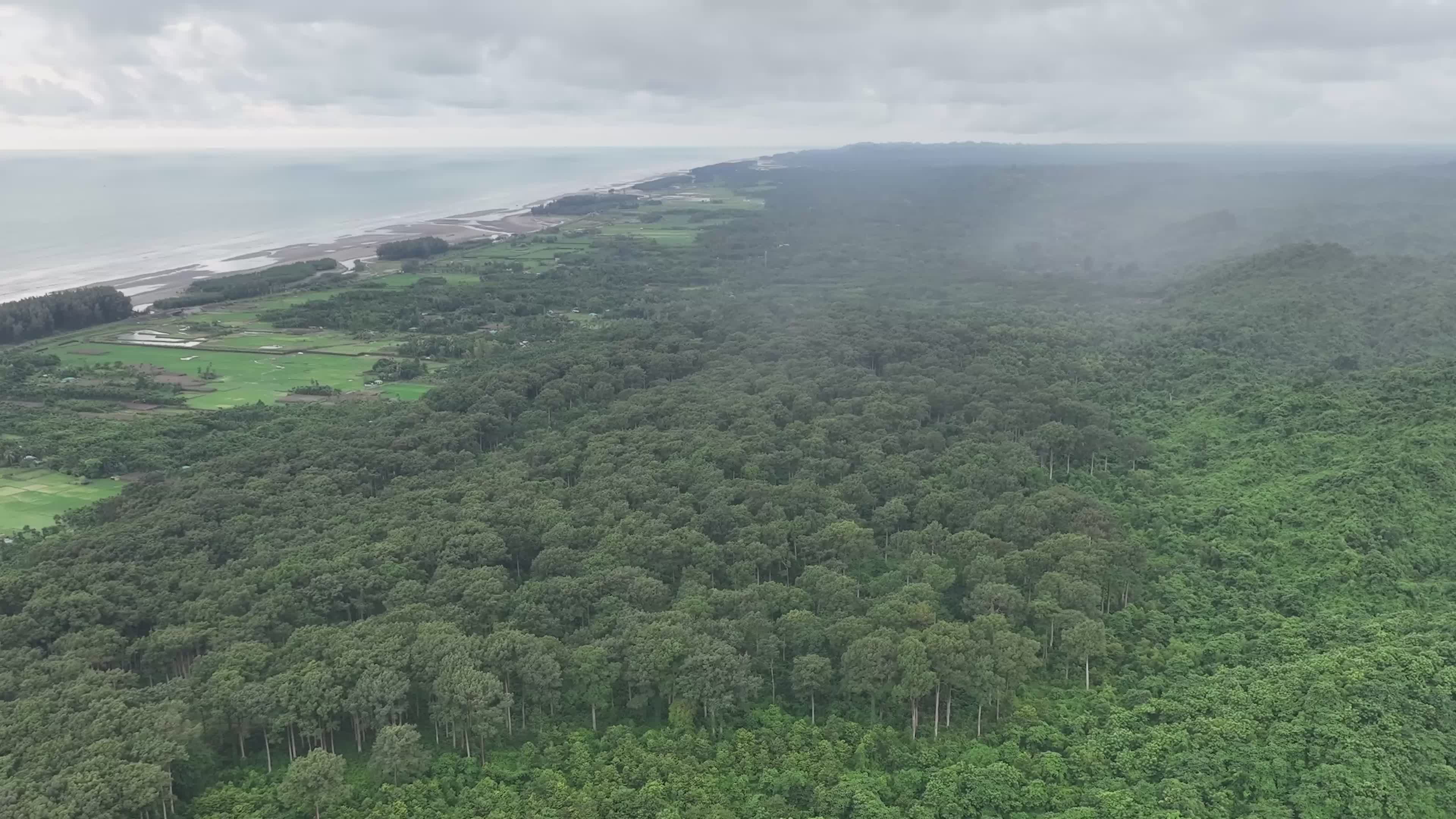 Aerial View of Lush Coastal Forest in Bangladesh Free Stock Video ...