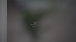 Yololary+Taking+Off+Her+Spider+Man+Suit Videos, Download The BEST Free