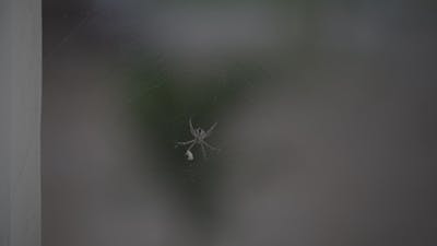 Yololary+Taking+Off+Her+Spider+Man+Suit Videos, Download The BEST Free