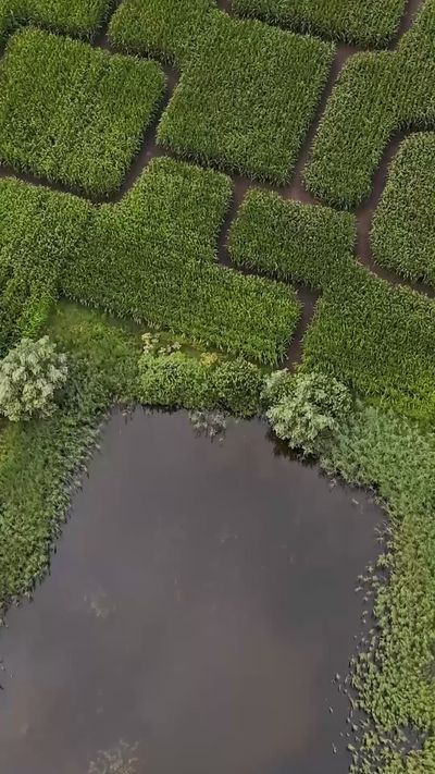 Matthias Groeneveld's geometric patterns animation video