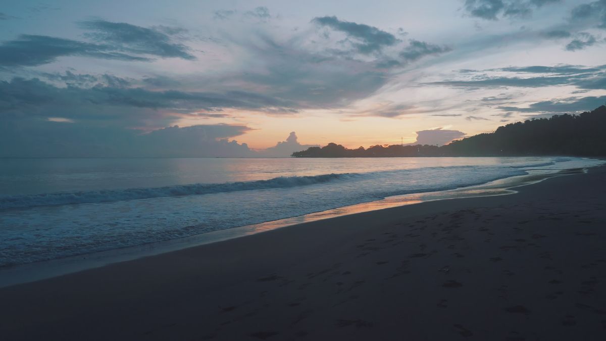 Beach+Spy+Hd Videos, Download The BEST Free 4k Stock Video Footage