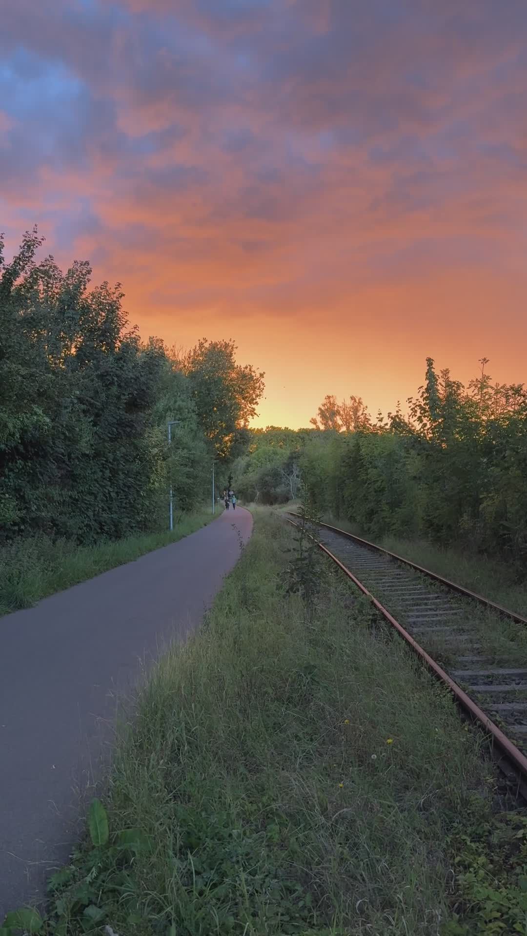 Scenic Sunset Over Nature Trail and Railroad Free Stock Video Footage ...