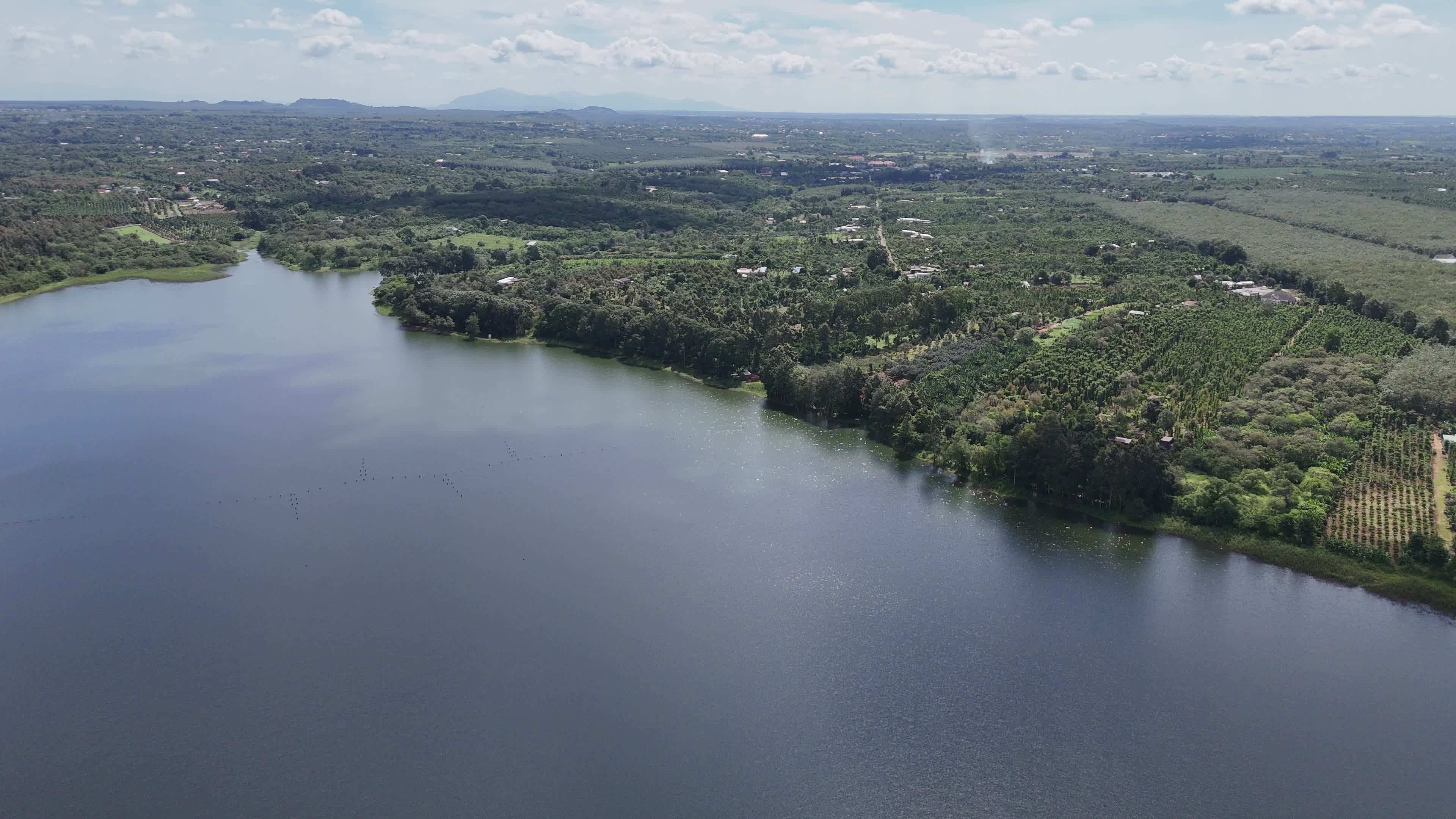 Serene Aerial View of Lush Green Landscape Free Stock Video Footage ...