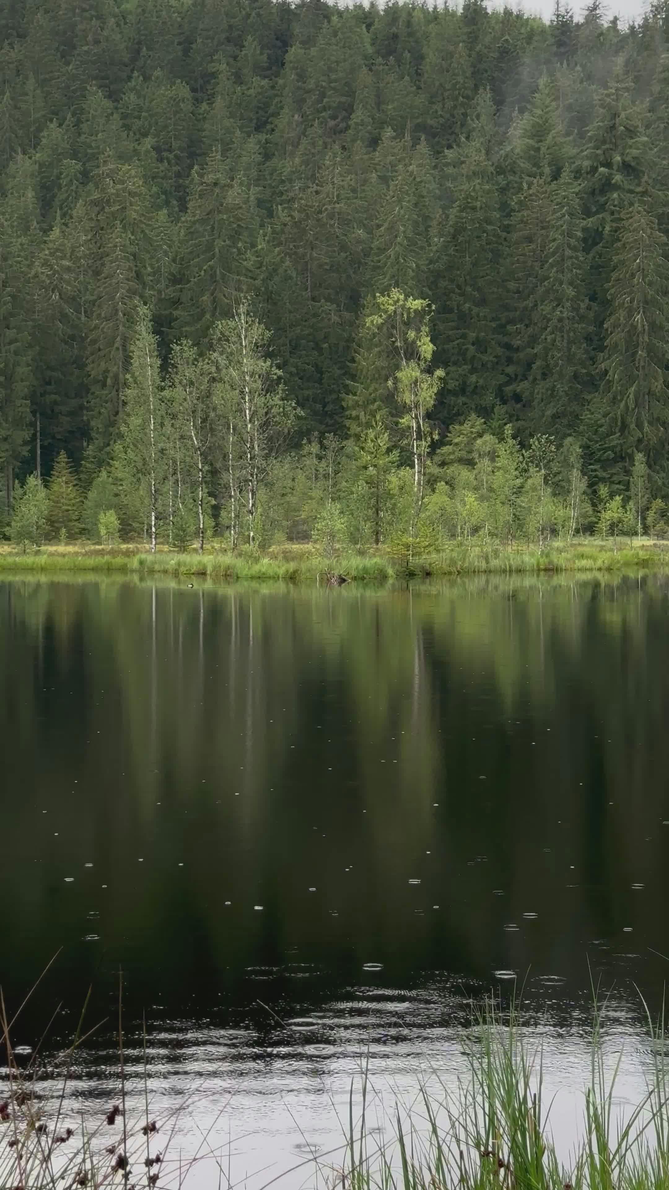 Video by Enes Türkoğlu