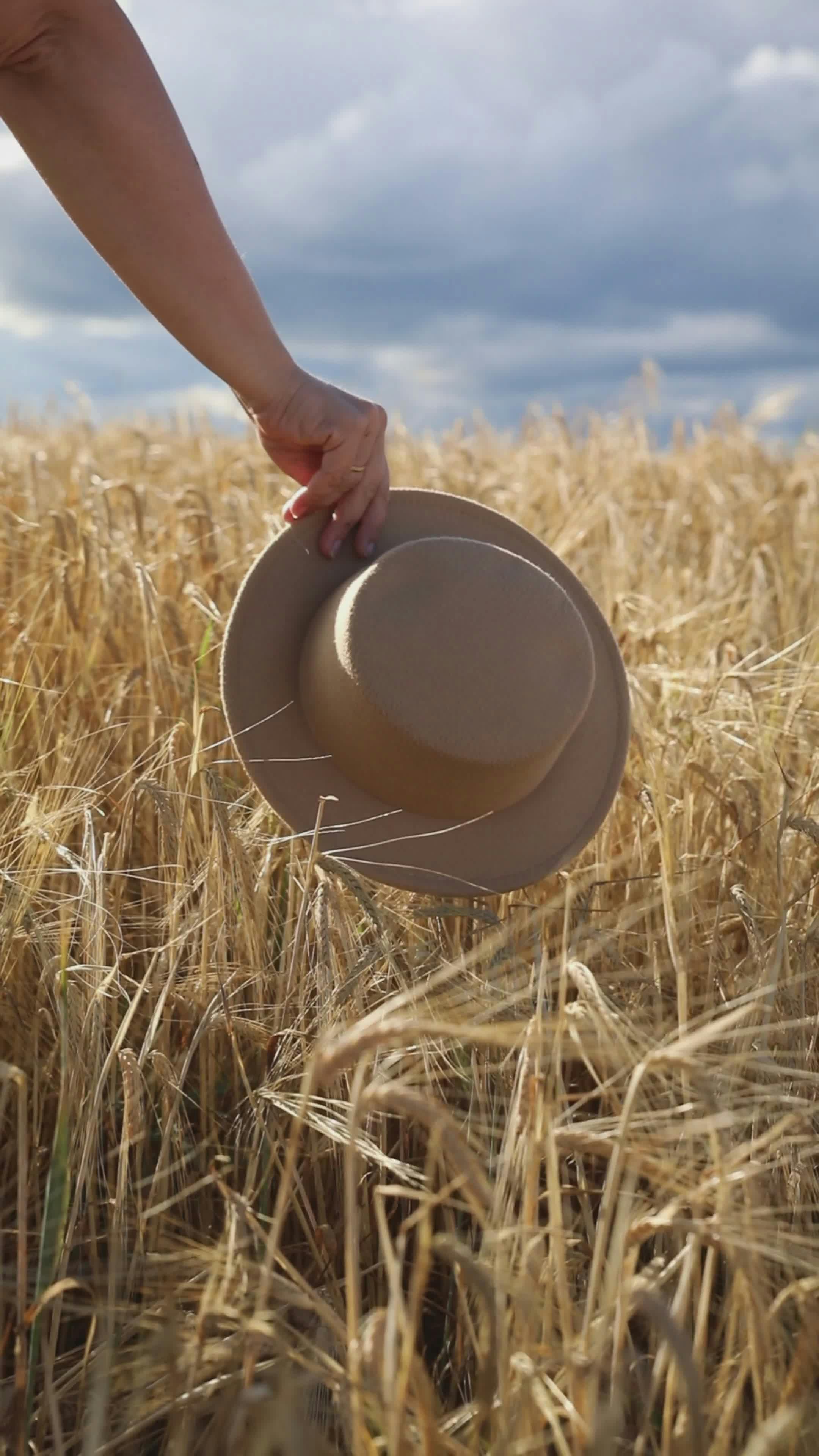 Fat+Older+Women+Stripping Videos, Download The BEST Free 4k Stock Video Footage & Fat+Older