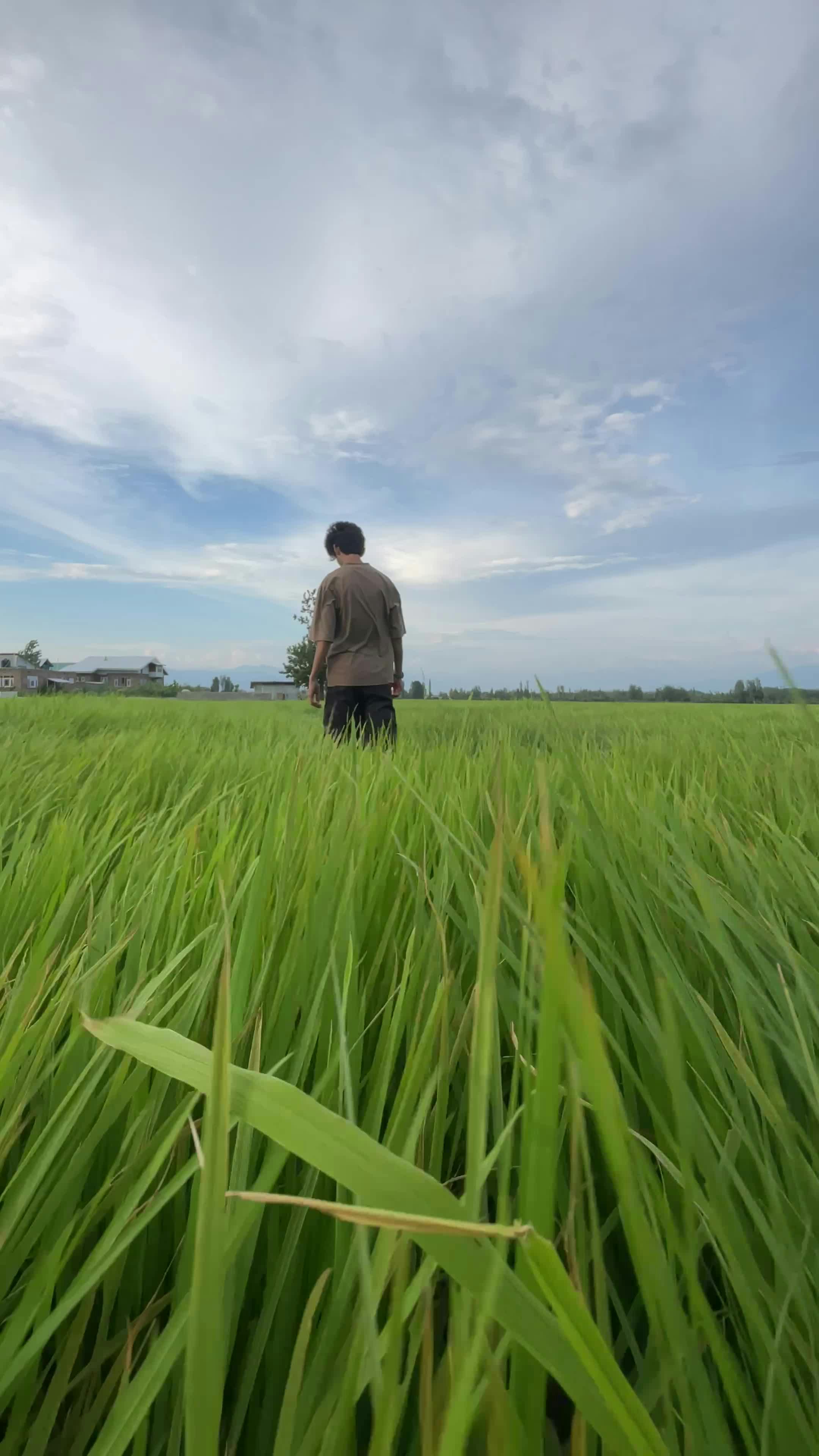 Vídeo profissional gratuito de agricultura, andando, ao ar livre, ar ...