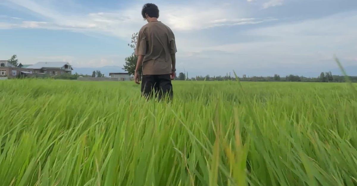 Vídeo profissional gratuito de agricultura, andando, ao ar livre, ar ...