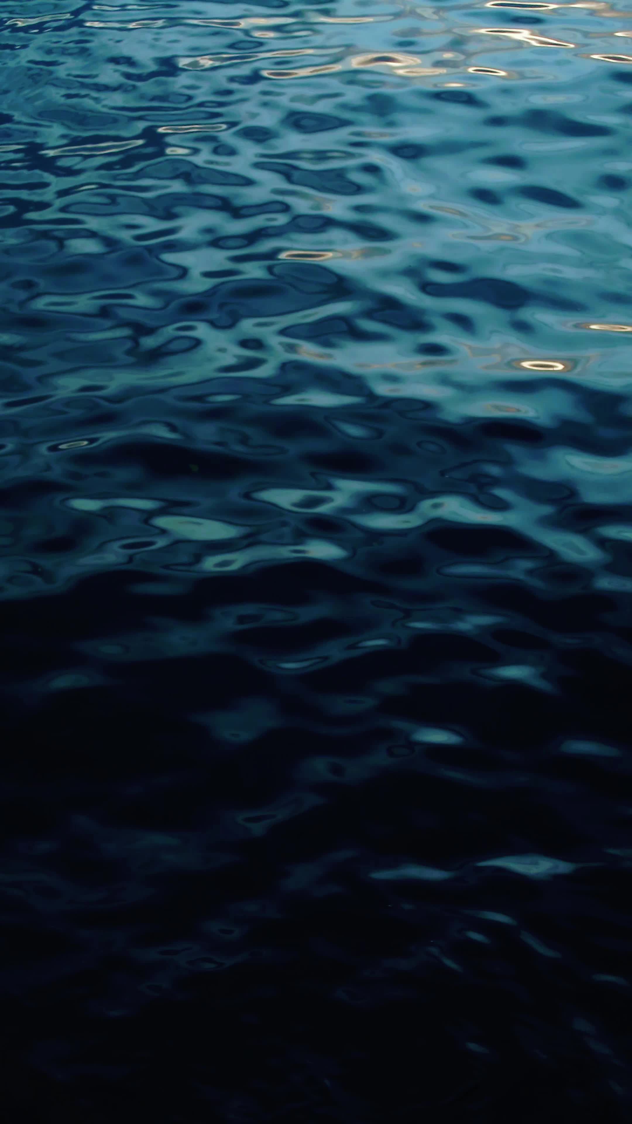 Pexels Video 33937728