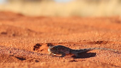 Cute+Latina+Dp Videos, Download The BEST Free 4k Stock Video Footage